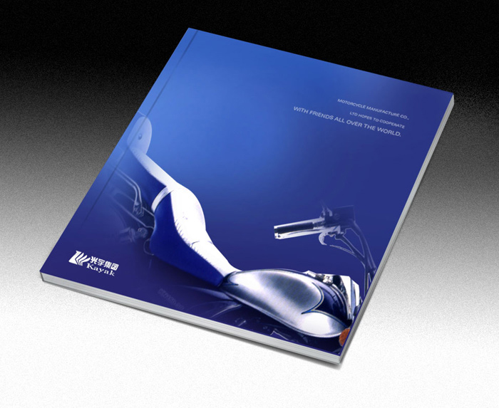 分類畫冊設(shè)計(jì)fenlei+huace+sheji+paint+book+design+北京專業(yè)畫冊設(shè)計(jì)公司